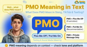 pmo meaning text