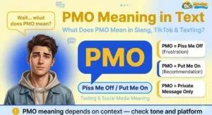pmo meaning text