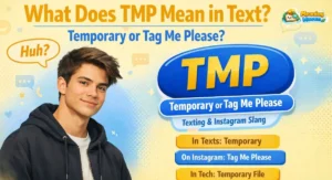 What does TMP mean in text featured image showing TMP as Temporary or Tag Me Please