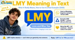 lmy meaning