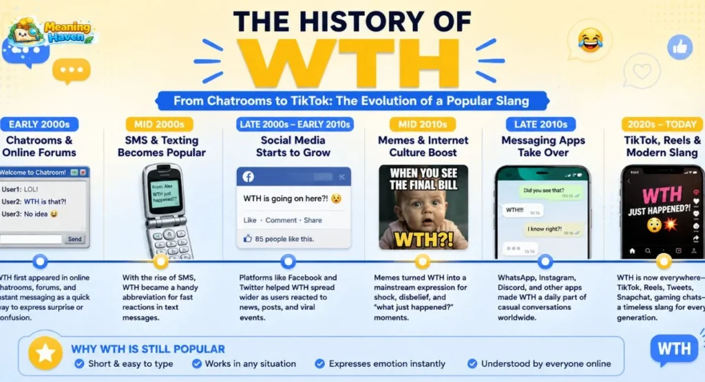 History and evolution of WTH internet slang from chatrooms to social media