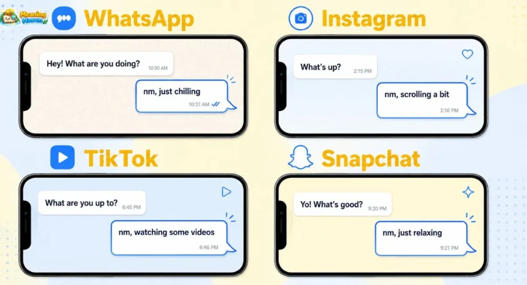 NM meaning on WhatsApp, Instagram, TikTok, and Snapchat shown in chat examples"