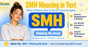 SMH meaning in text — infographic showing SMH stands for Shaking My Head with examples