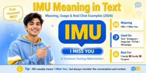 imu-meaning-in-text
