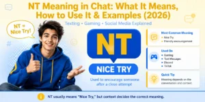nt-meaning-in-chat