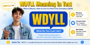 wdyll-meaning