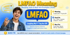 lmfao-meaning