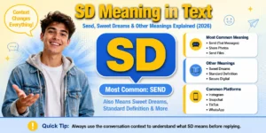 sd-meaning-in-text