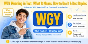 wgy-meaning-in-text